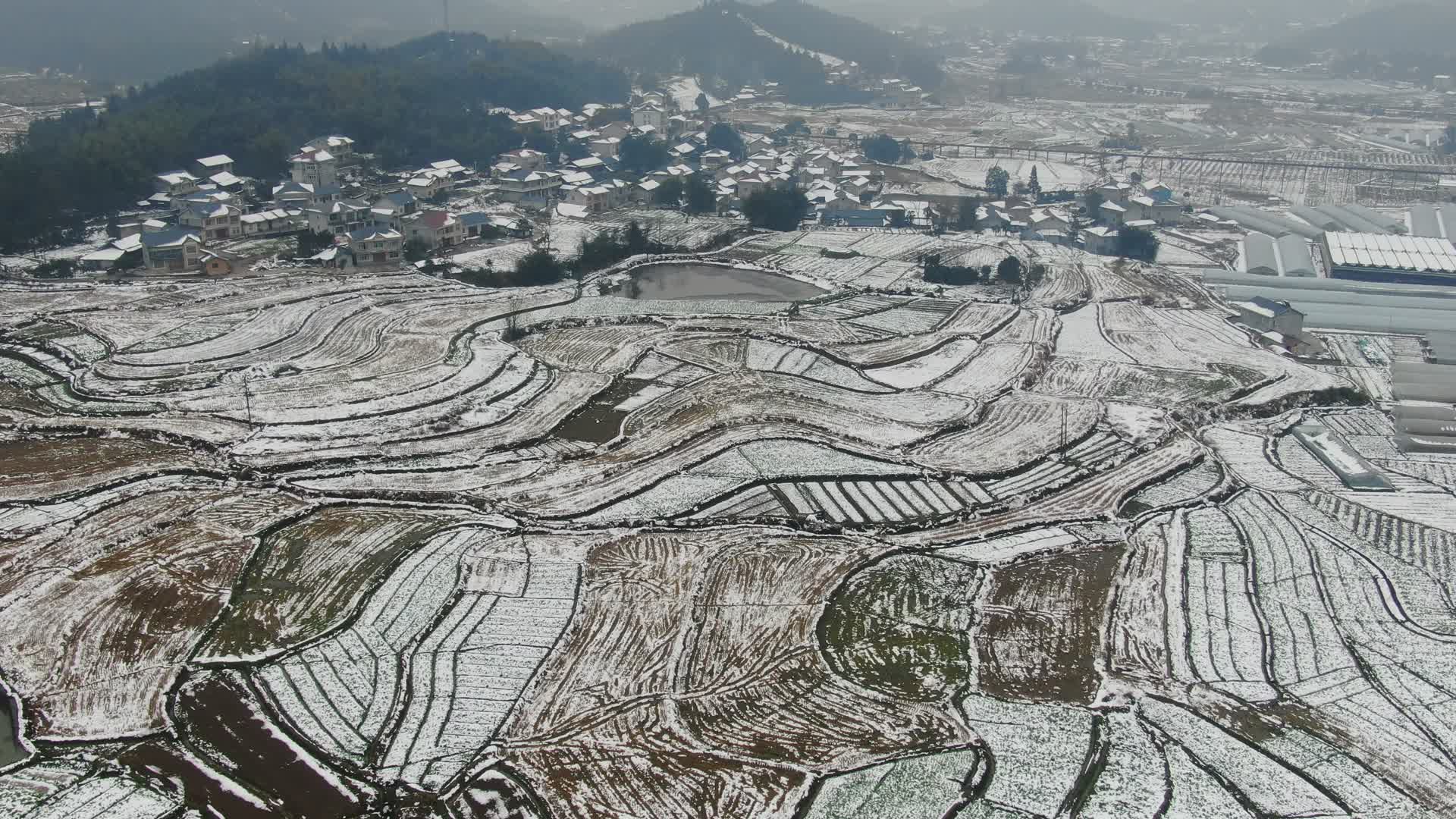 农业种植农作物冬天雪景航拍视频的预览图