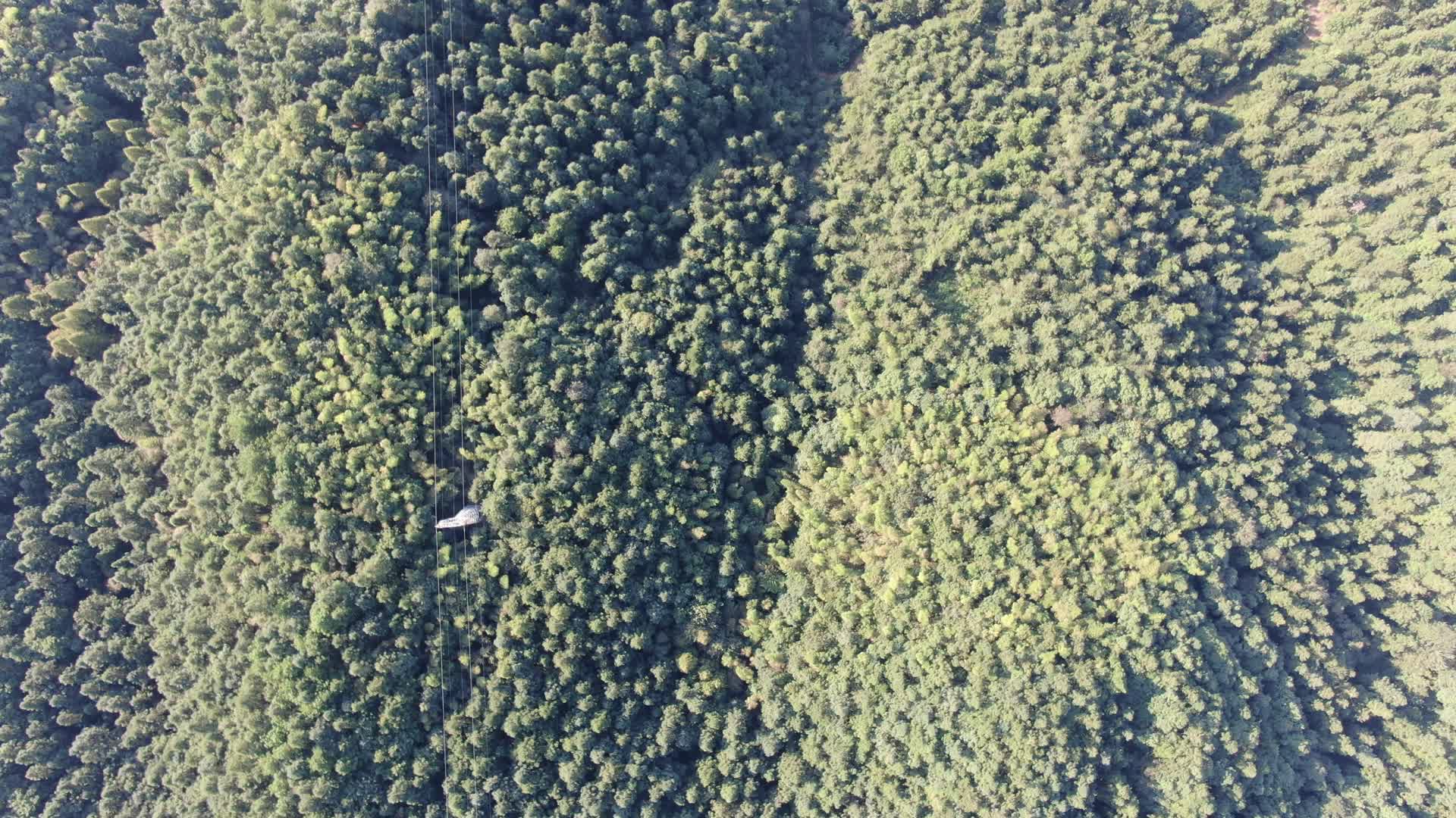 航拍大自然山川丘陵绿色森林视频的预览图