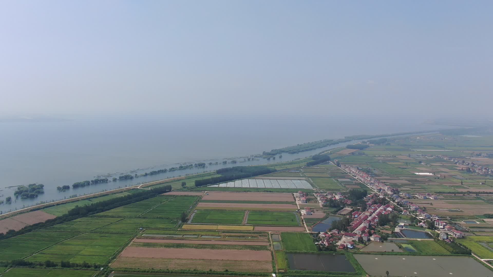 航拍湖南岳阳洞庭湖农业种植视频的预览图