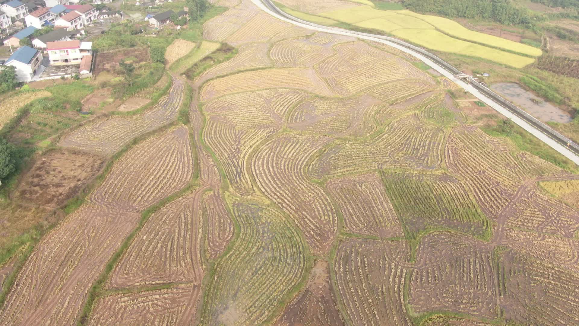 航拍春耕农田农业种植视频的预览图