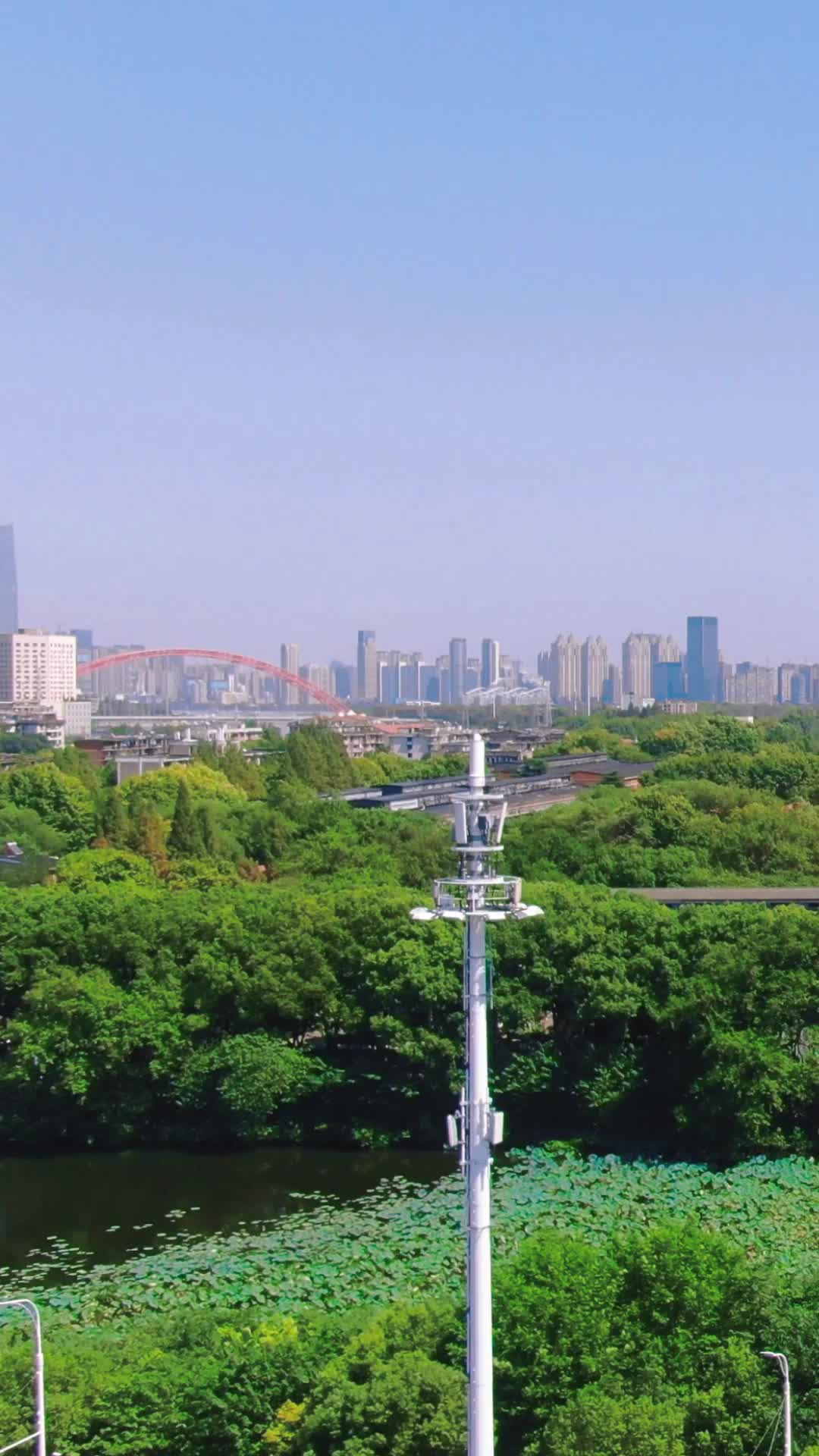 湖北武汉龟山公园电视塔竖屏航拍视频的预览图