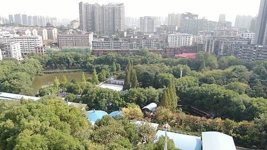 湖南衡阳城市中心公园绿化航拍视频的预览图