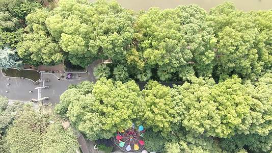 湖南衡阳城市中心公园绿化航拍视频的预览图