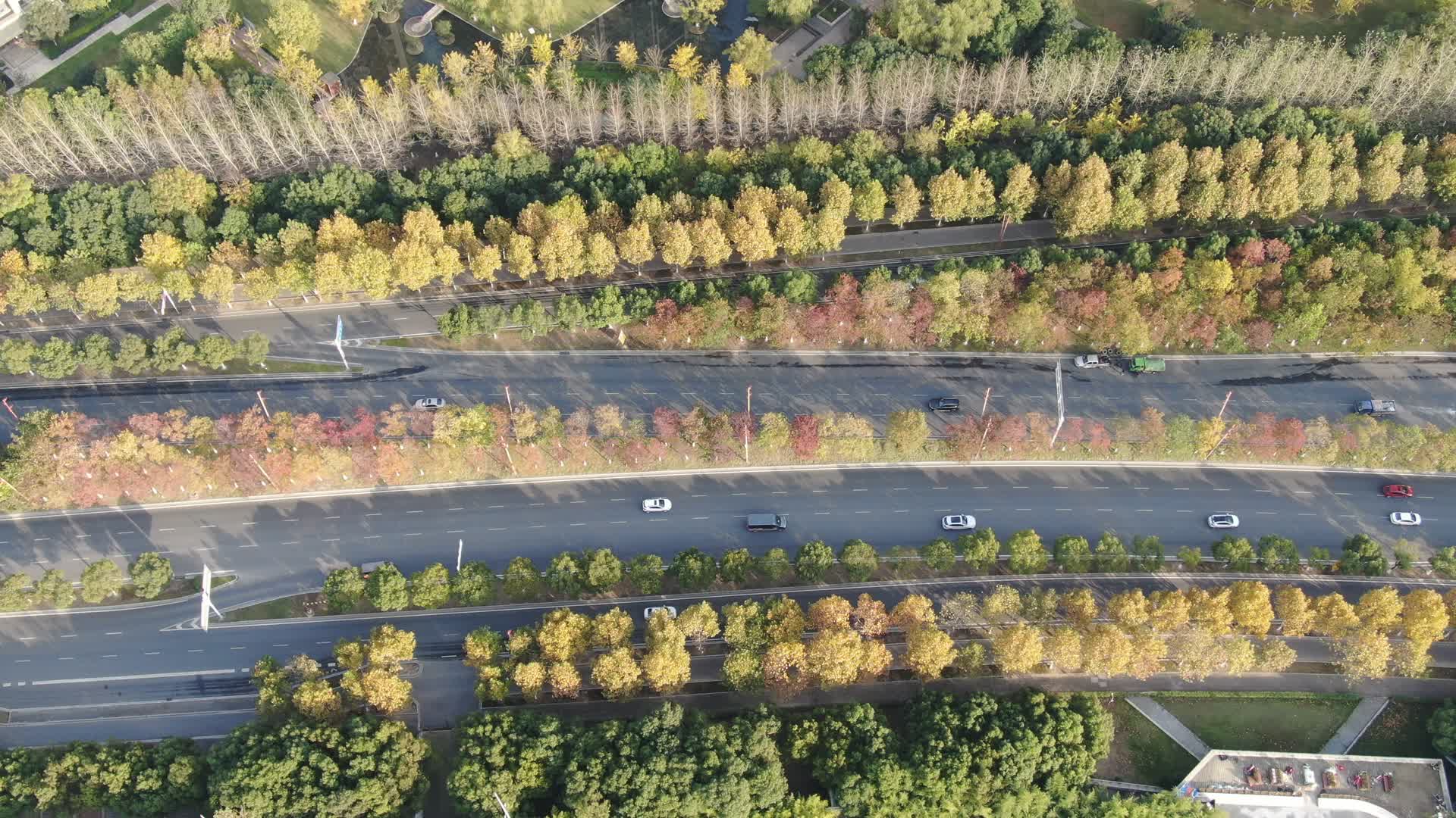 俯拍城市大道绿化植物视频的预览图