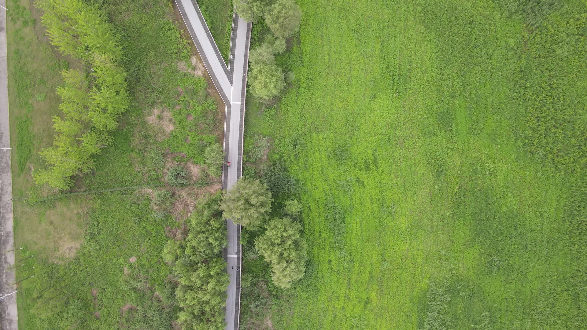 俯拍湖南长沙湘江绿地视频的预览图