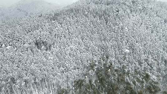 航拍高山森林雪景视频的预览图