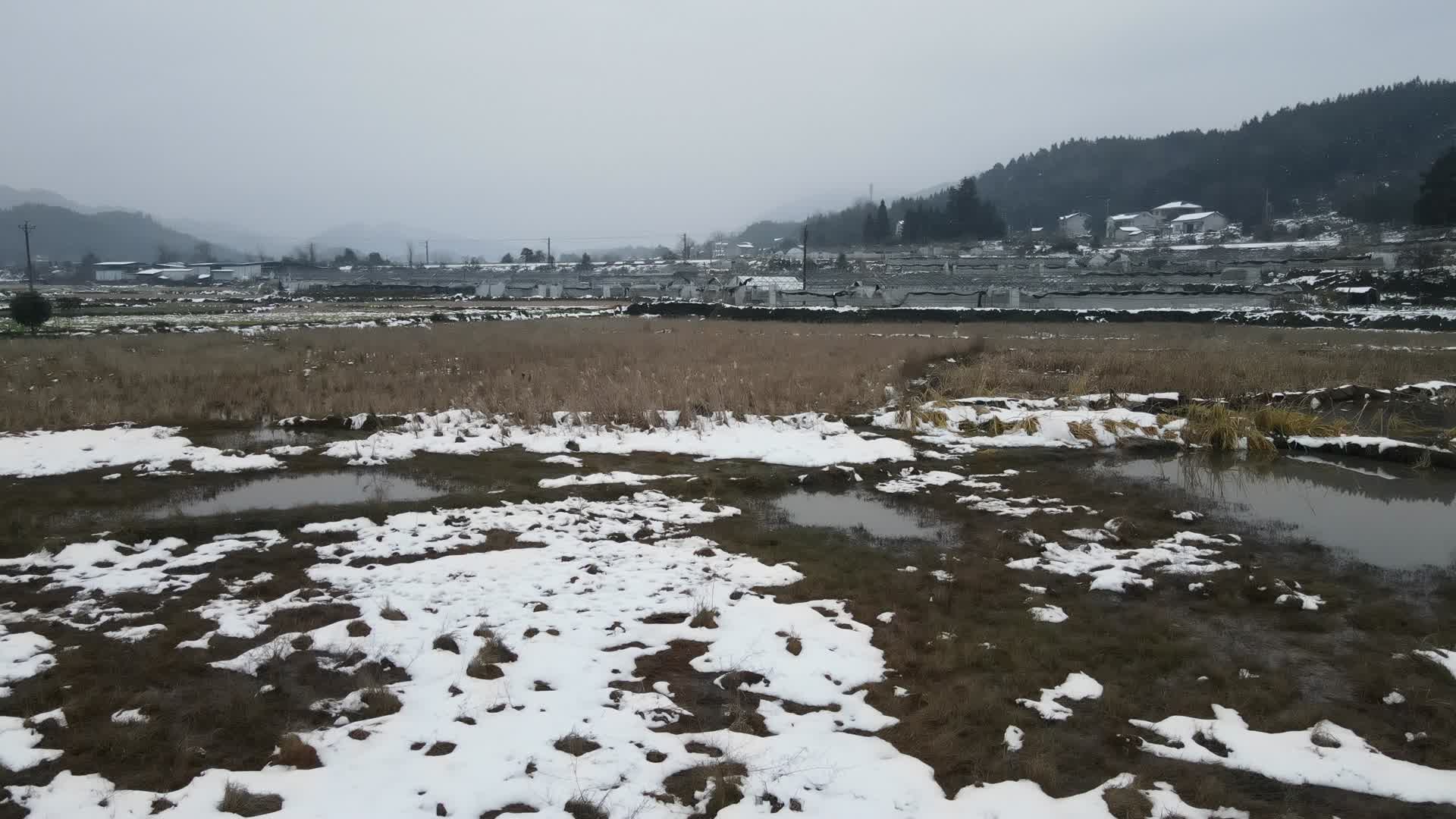 农业乡村农田种植雪景航拍视频的预览图
