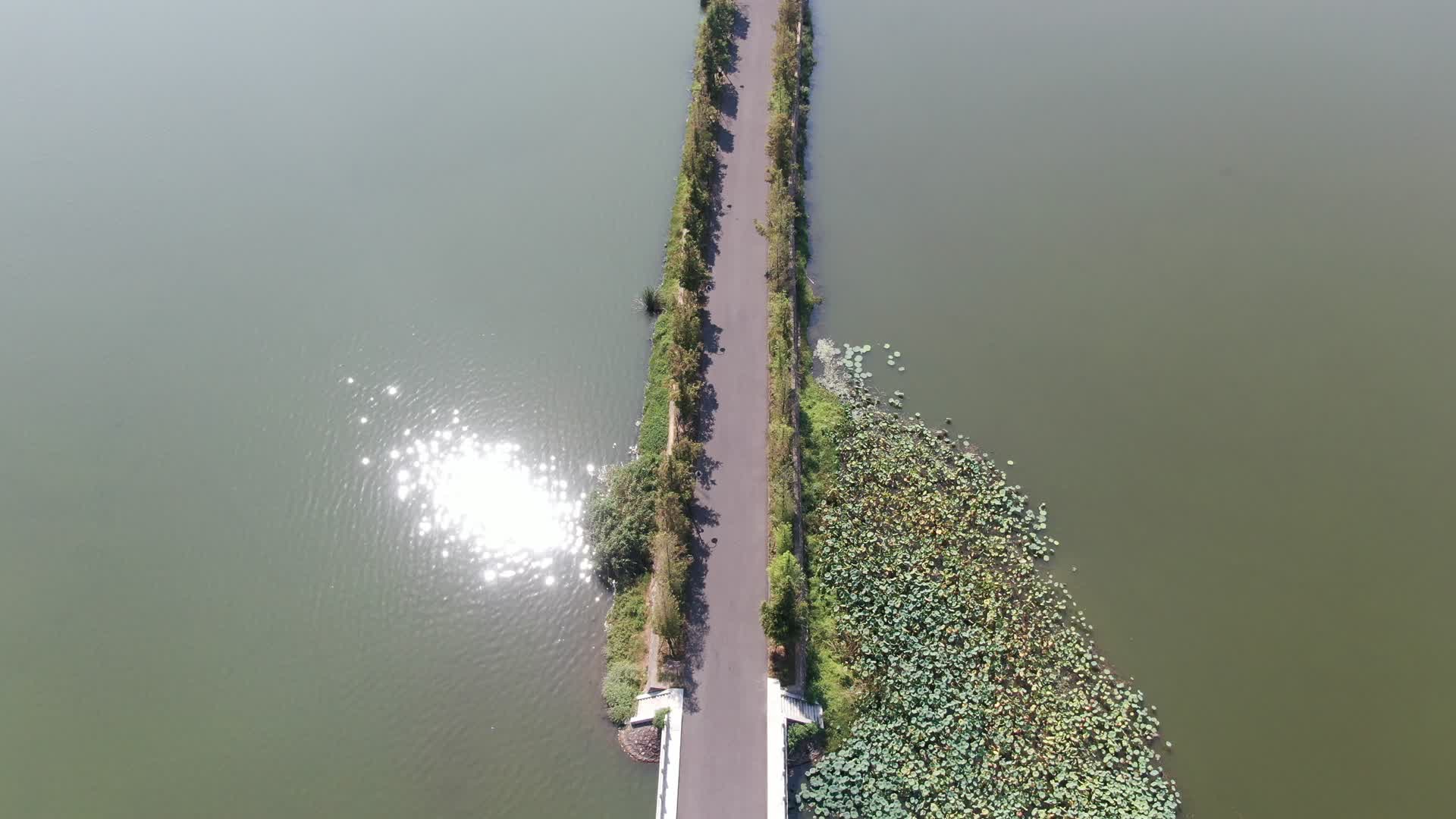4K航拍武汉东湖景区堤坝视频的预览图