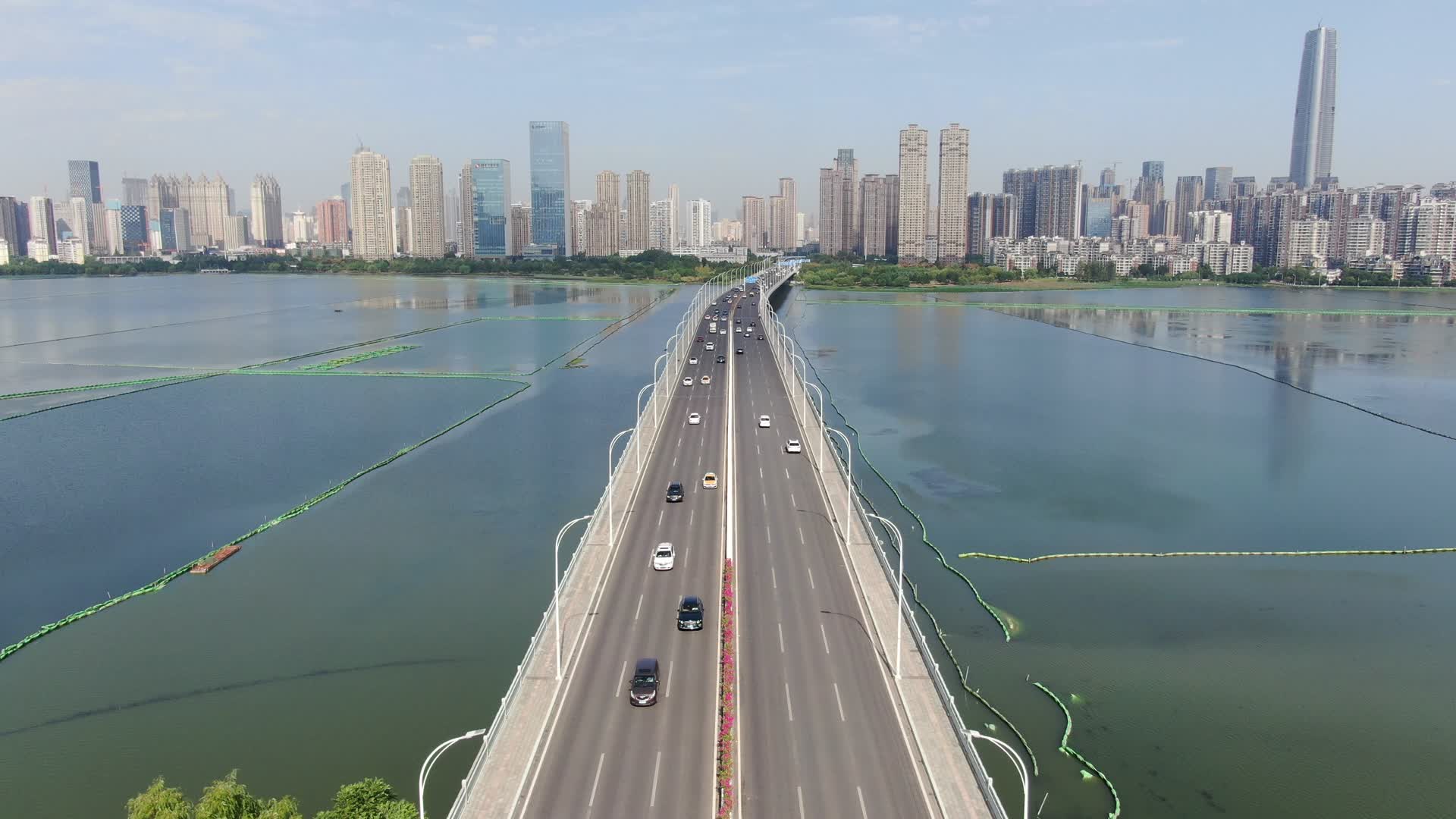 4K航拍湖北武汉沙湖大桥视频的预览图