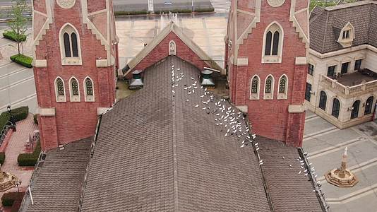 4K航拍欧式建筑屋顶白鸽视频的预览图
