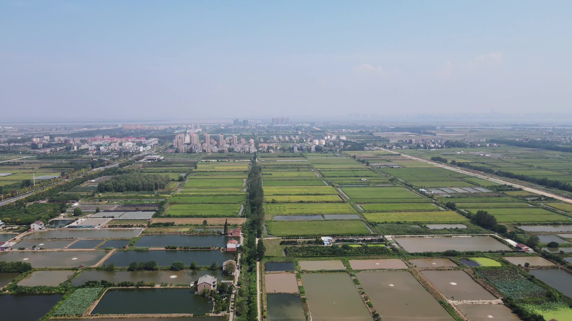 4K航拍农业稻田视频的预览图