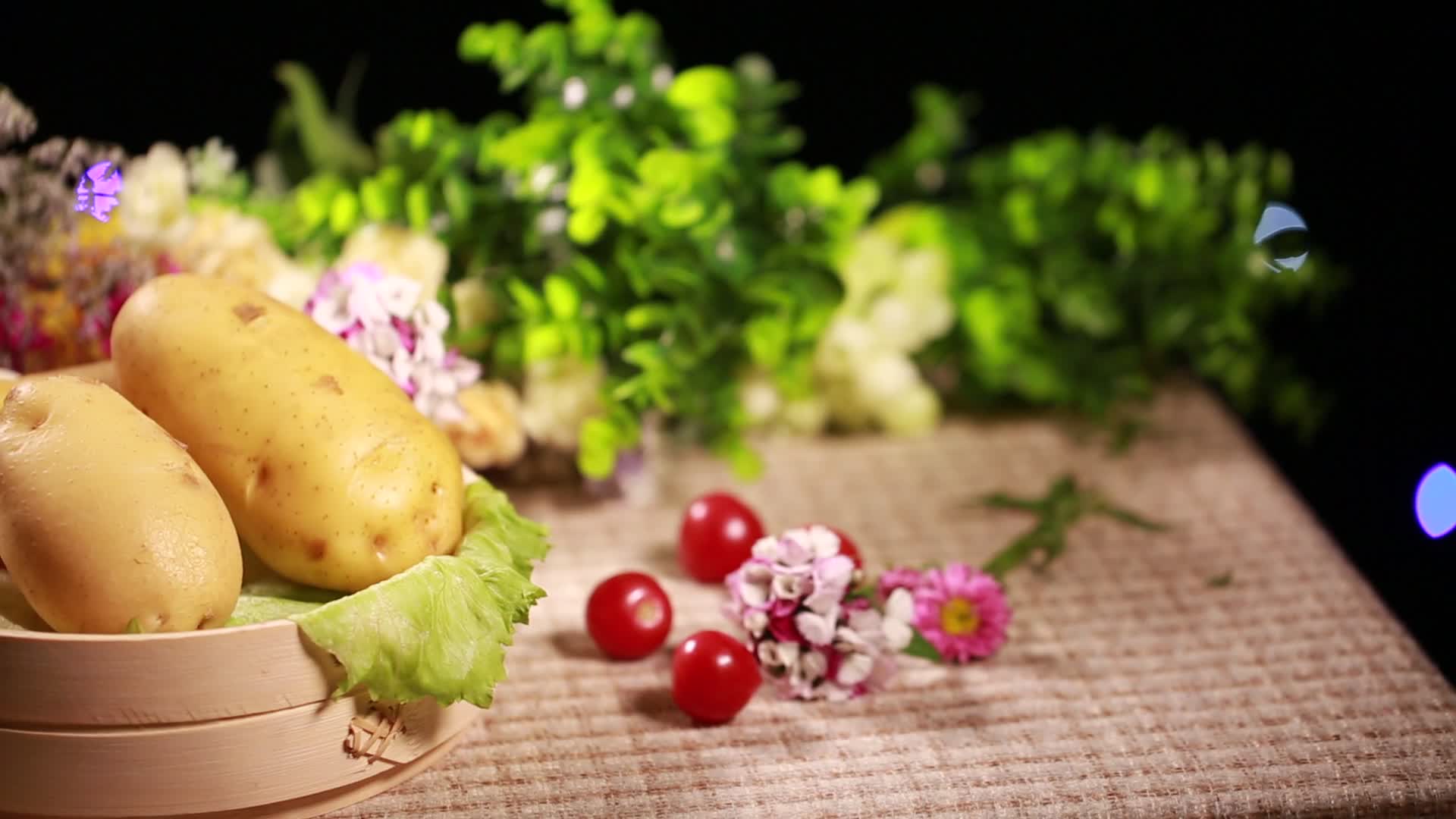 优质淀粉土豆马铃薯视频的预览图