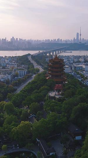 湖北武汉岳阳楼竖屏航拍视频的预览图