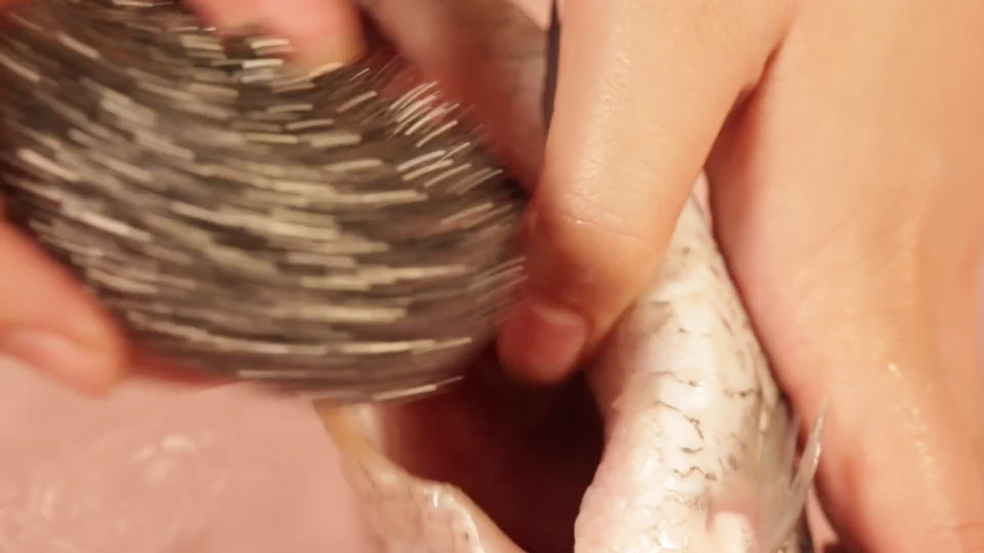 剖开鲫鱼肚子用钢丝球清理鱼腹腔黑膜视频的预览图