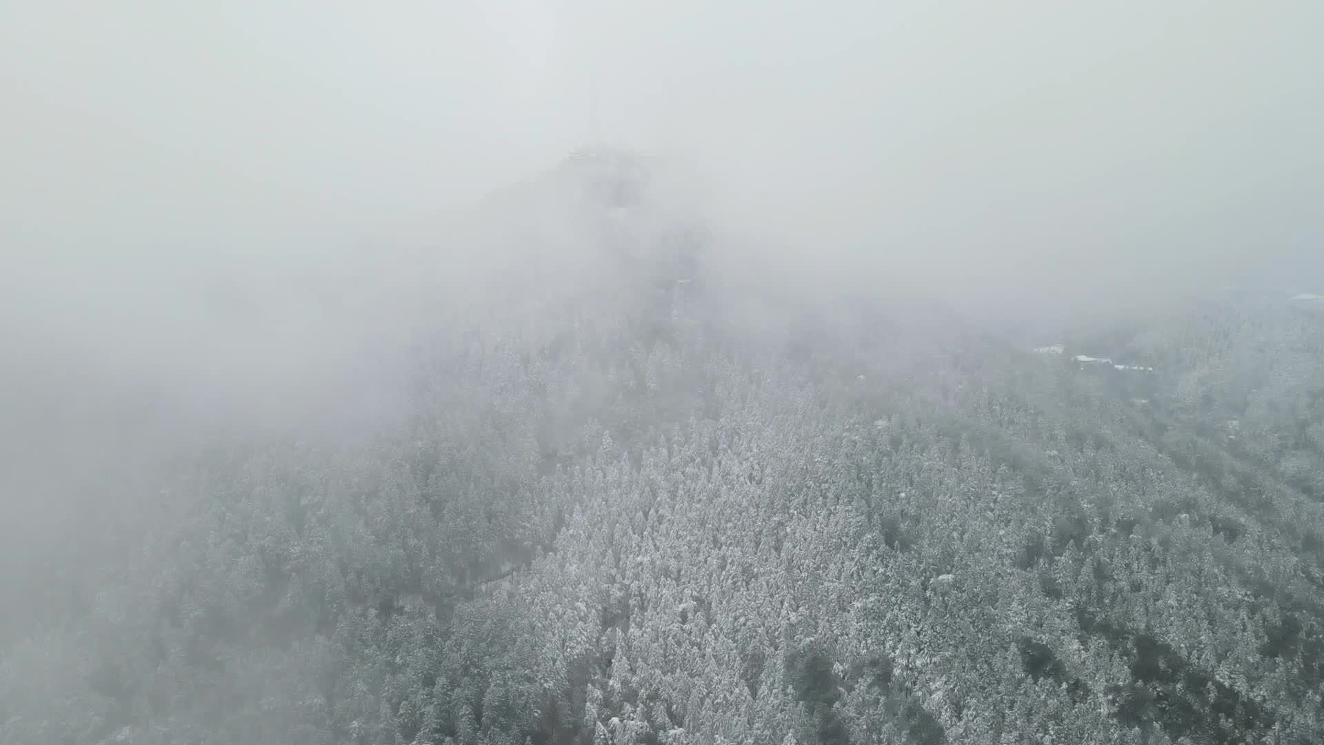 航拍高山森林云雾雪景视频的预览图