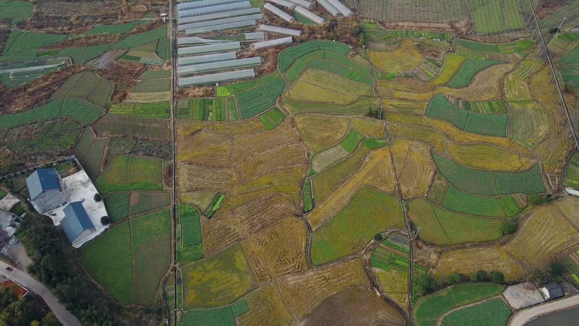 航拍乡村农田农业种植基地视频的预览图