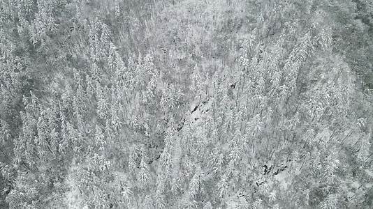 航拍冬天森林农田雪景视频的预览图