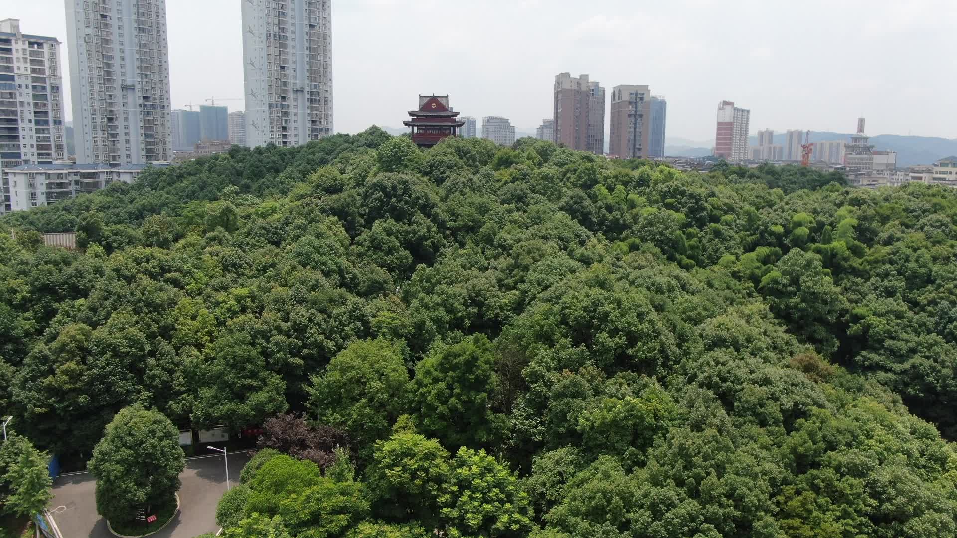 城市绿化植物航拍视频的预览图