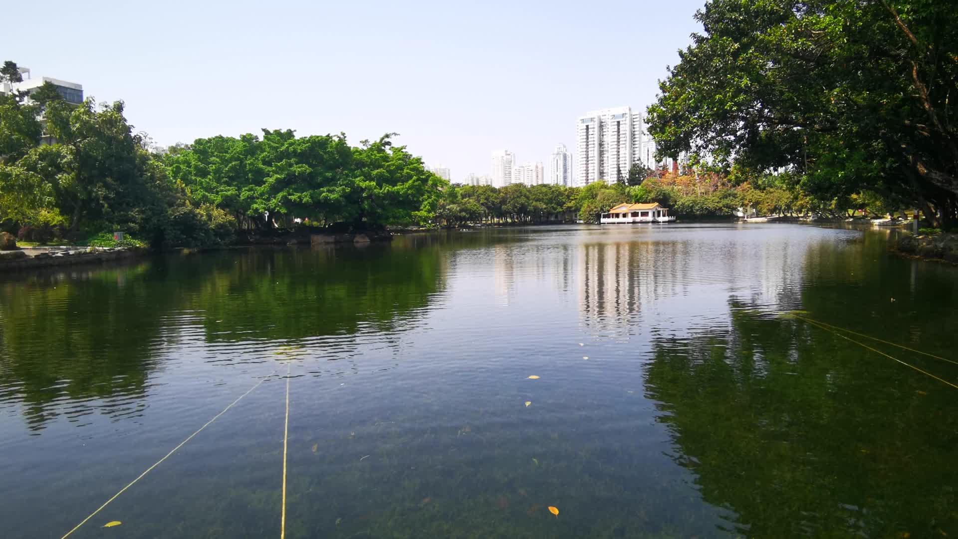 深圳荔枝公园风景实拍视频的预览图