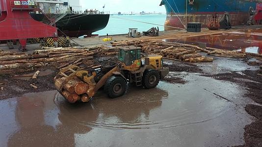 港口木材运输夹木机夹木头视频的预览图