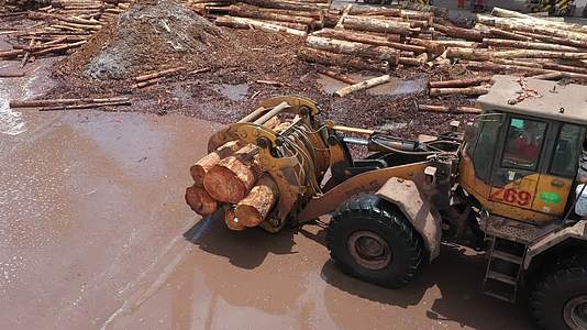 港口木材运输夹木机夹木头视频的预览图