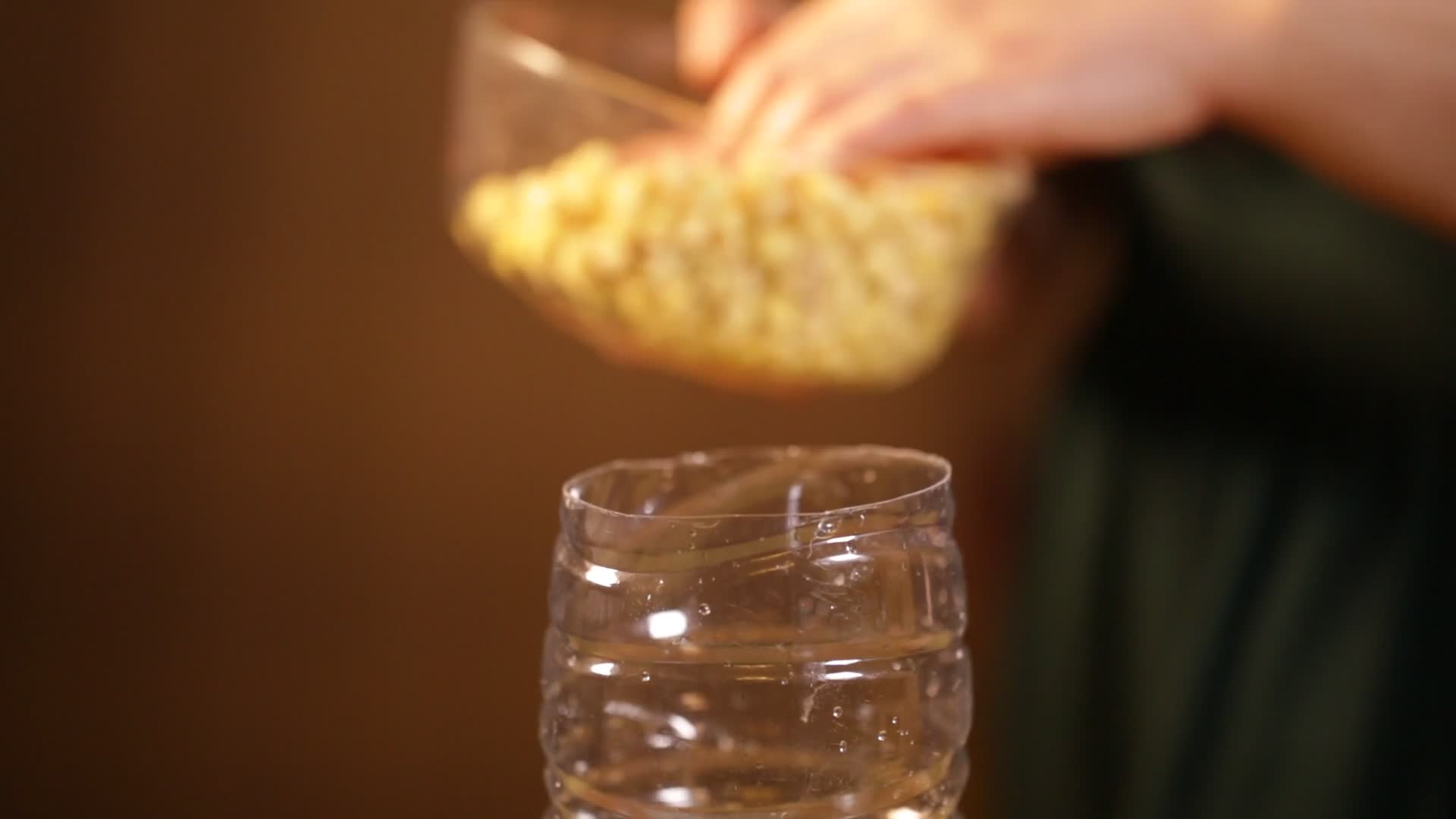 矿泉水瓶发豆芽自制豆芽视频的预览图