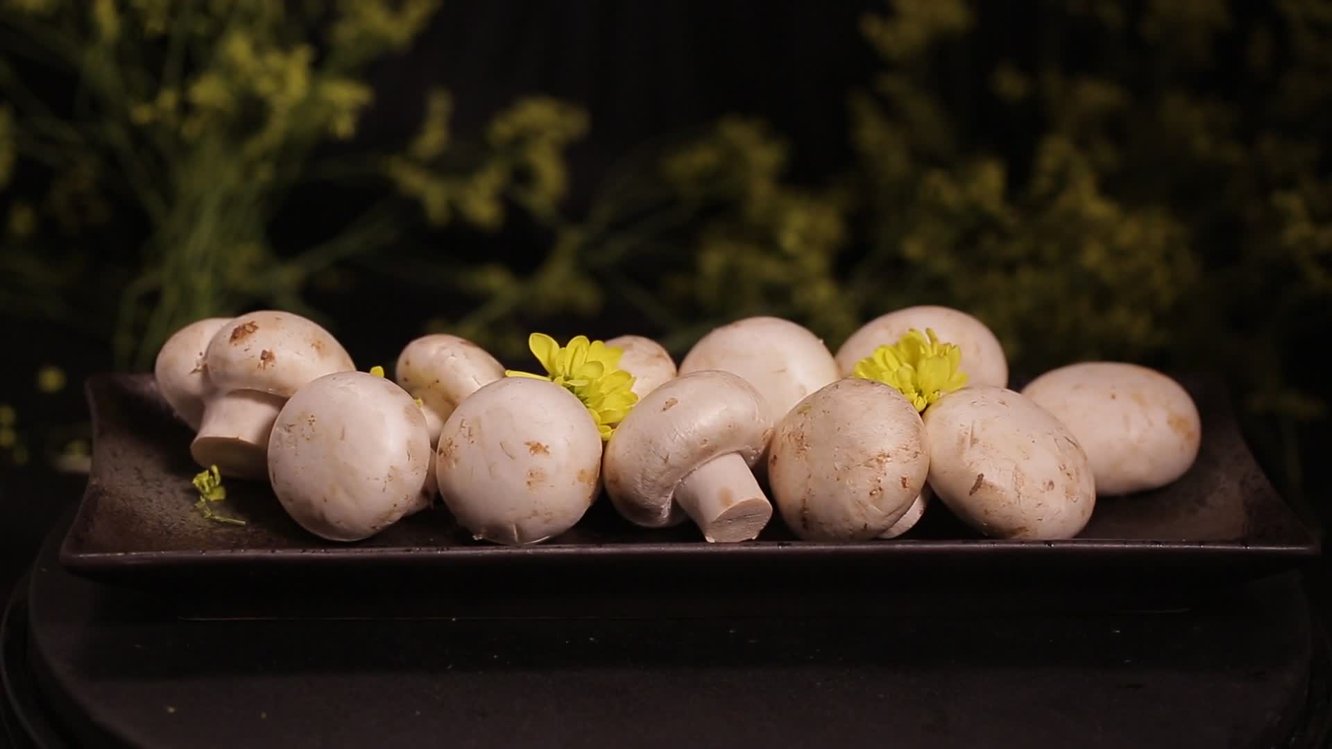 口蘑白蘑菇提鲜食材视频的预览图