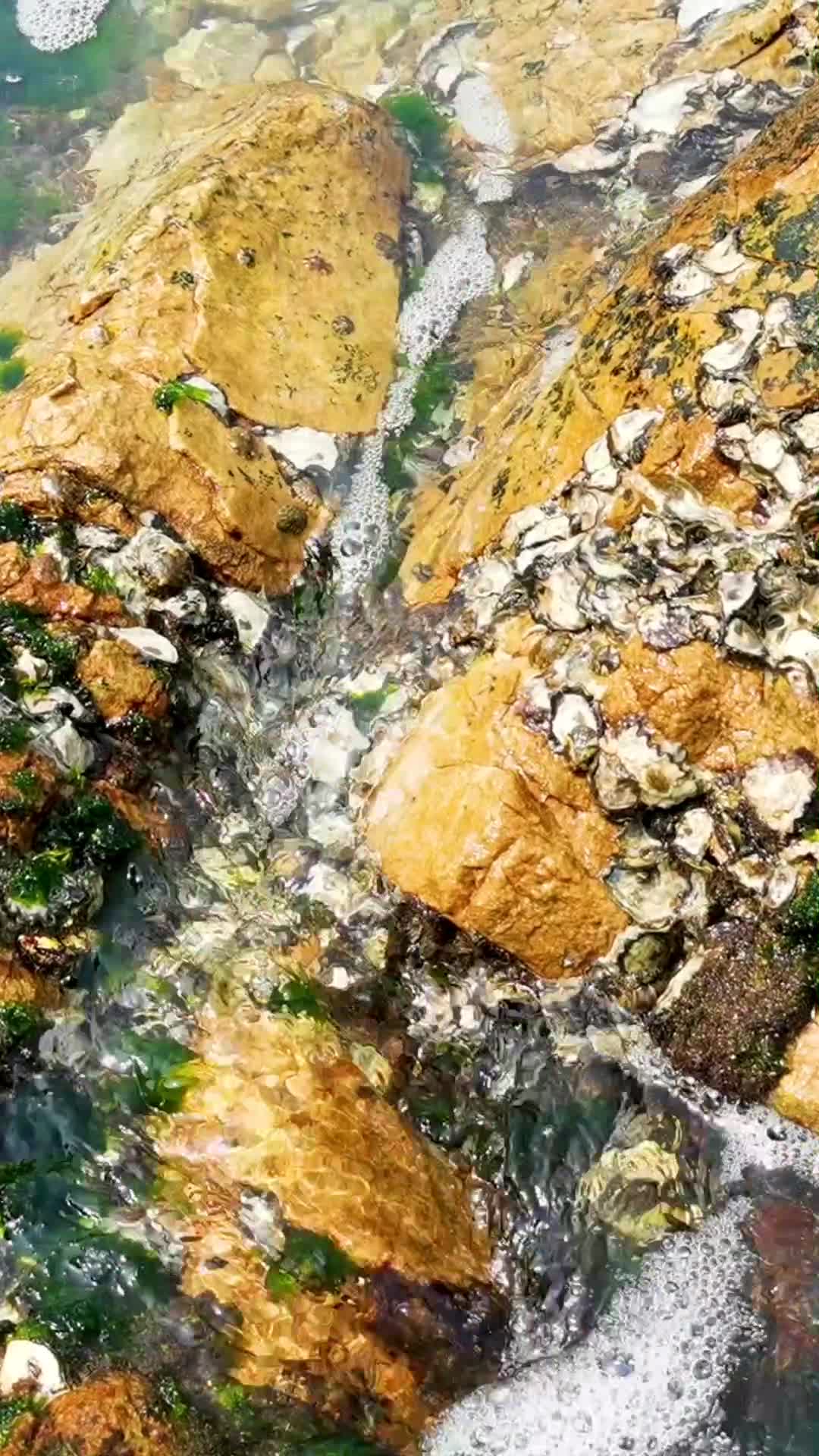 实拍浪花礁石水流视频的预览图