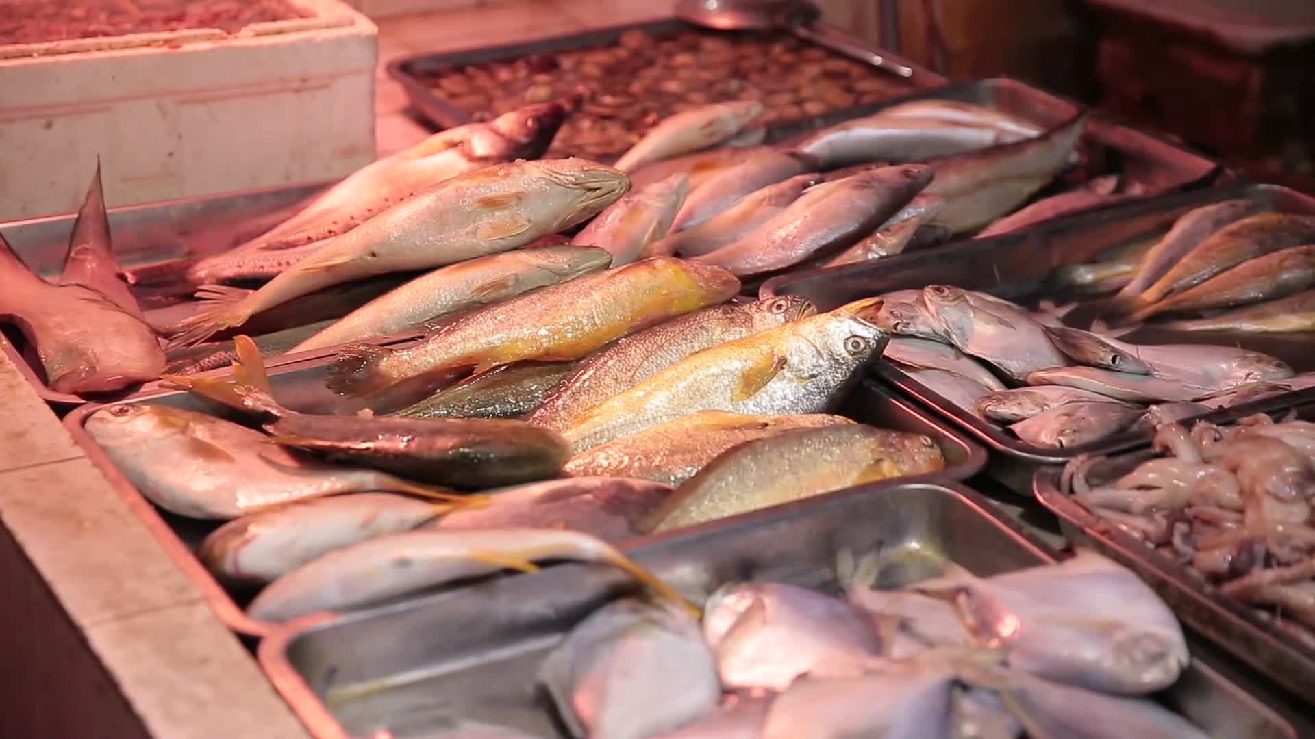 超市水产市场买鱼视频的预览图