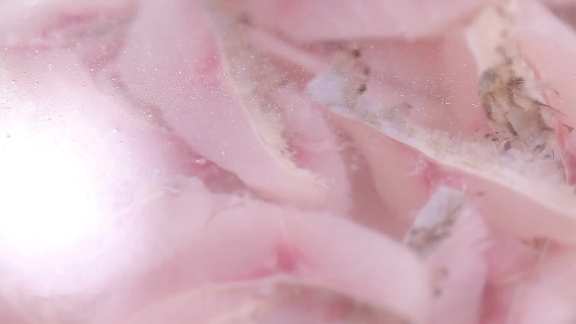 清洗摆盘日料生鱼片鱼生视频的预览图