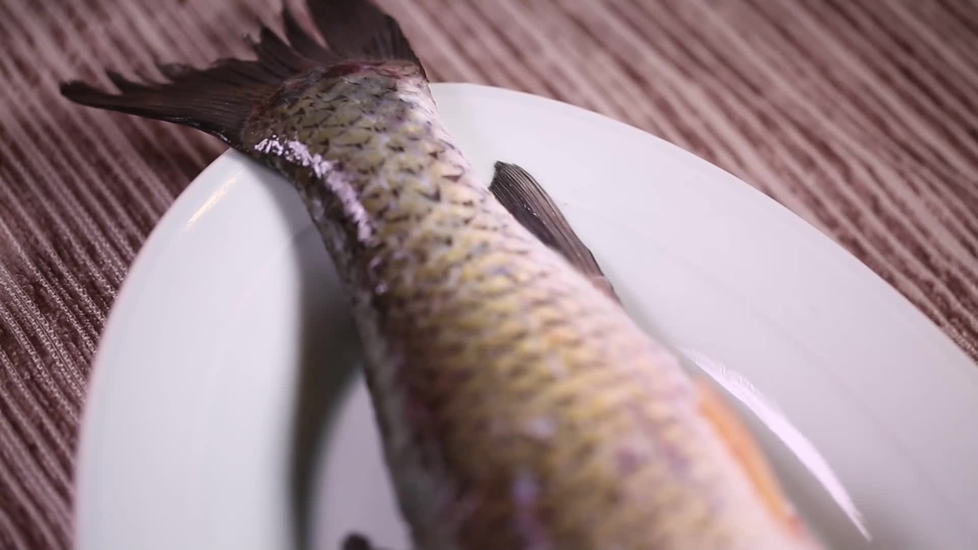 新鲜食材草鱼视频的预览图