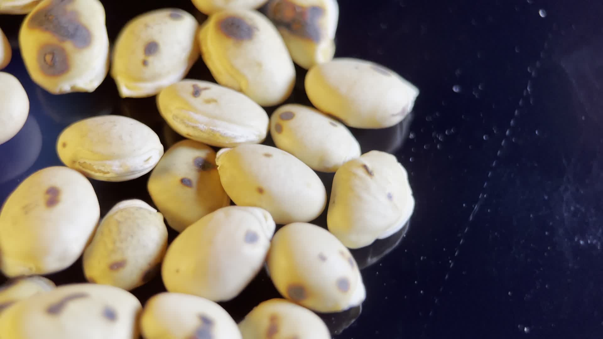 特写利水白扁豆视频的预览图