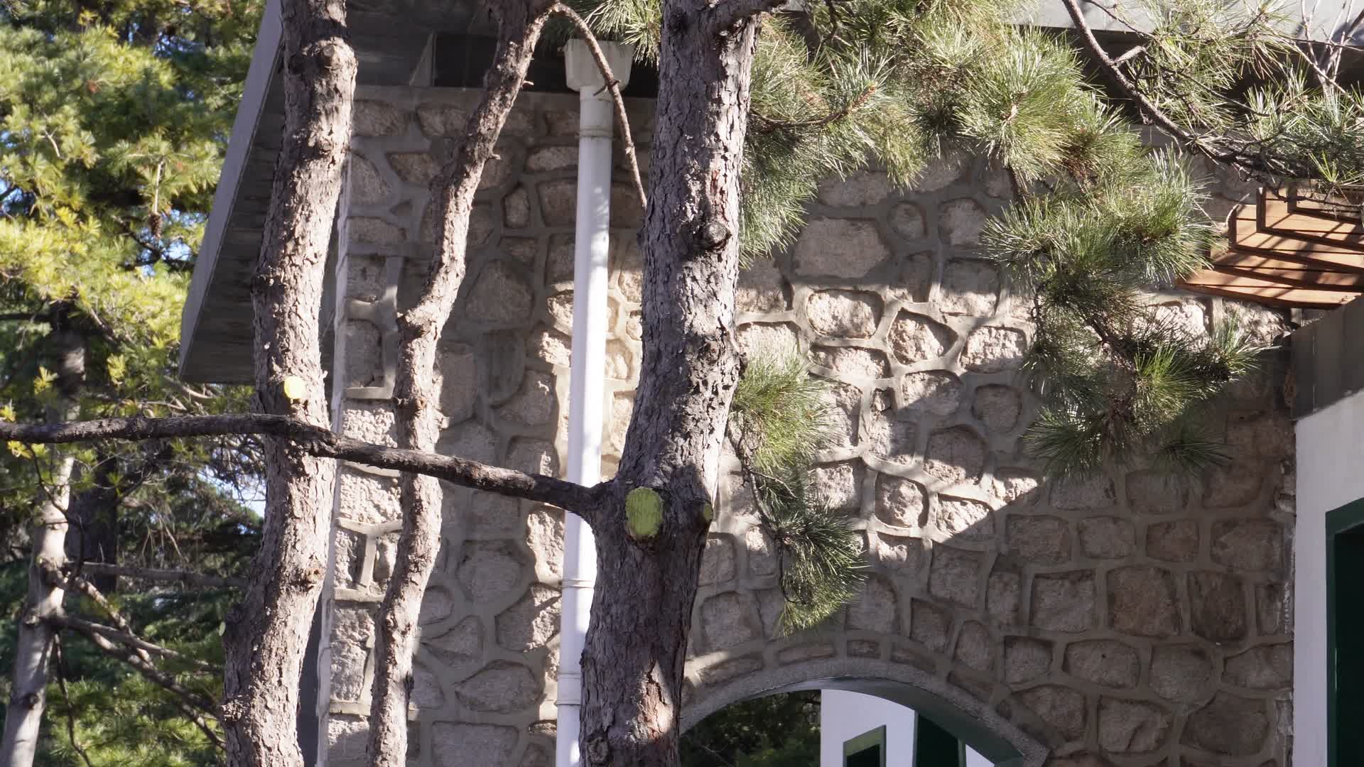 古典长廊庭院园艺紫竹院公园视频的预览图
