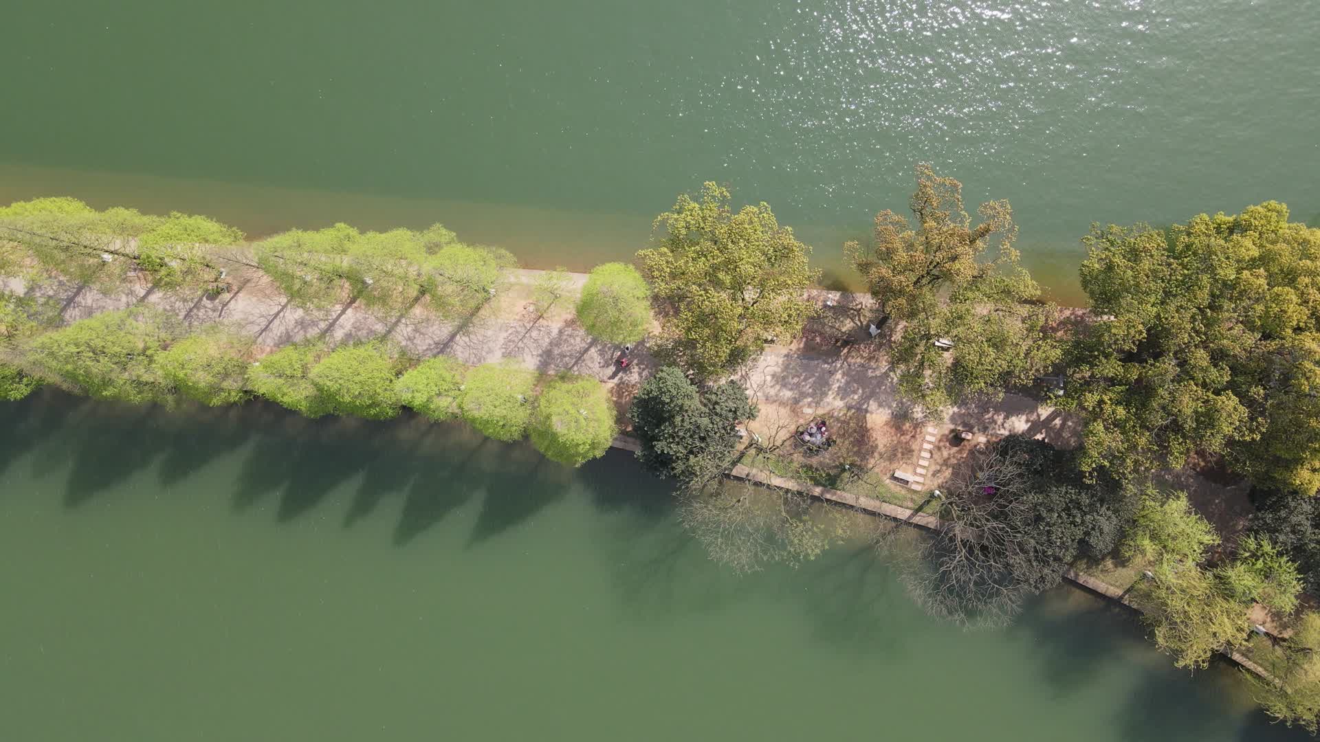 湖面唯美小道航拍视频的预览图