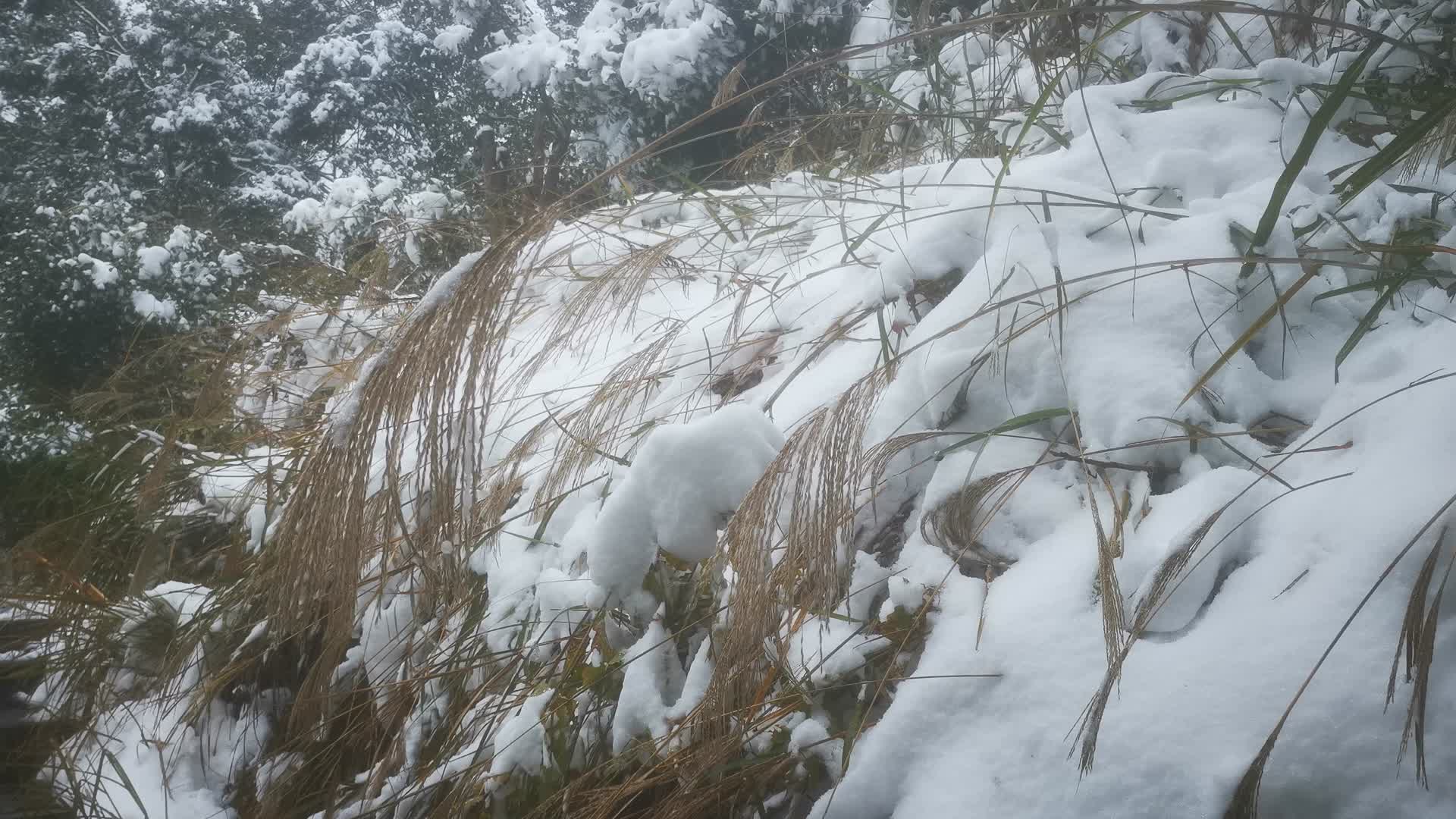 大自然冬天雪景视频的预览图