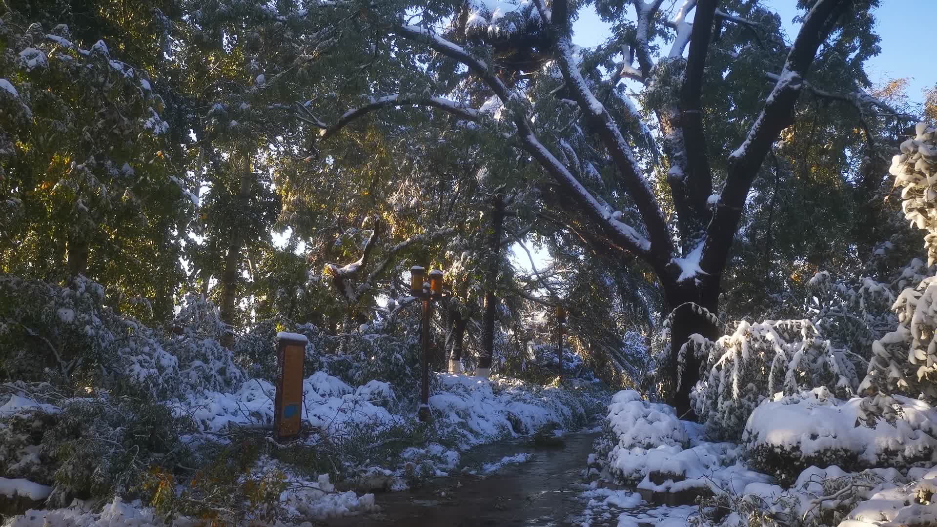 实拍冬天大雪雪景视频的预览图