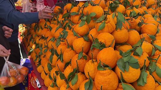 菜市场买沃柑粑粑橙橘子橙子视频的预览图