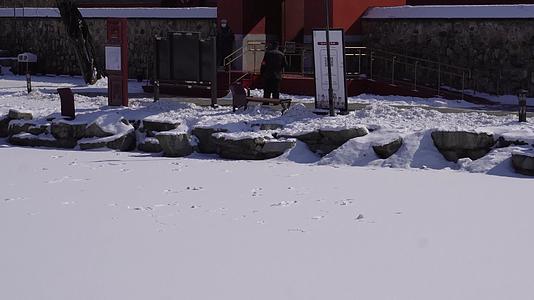 落雪积雪古建筑下雪雪景圆明园屋顶瓦片视频的预览图