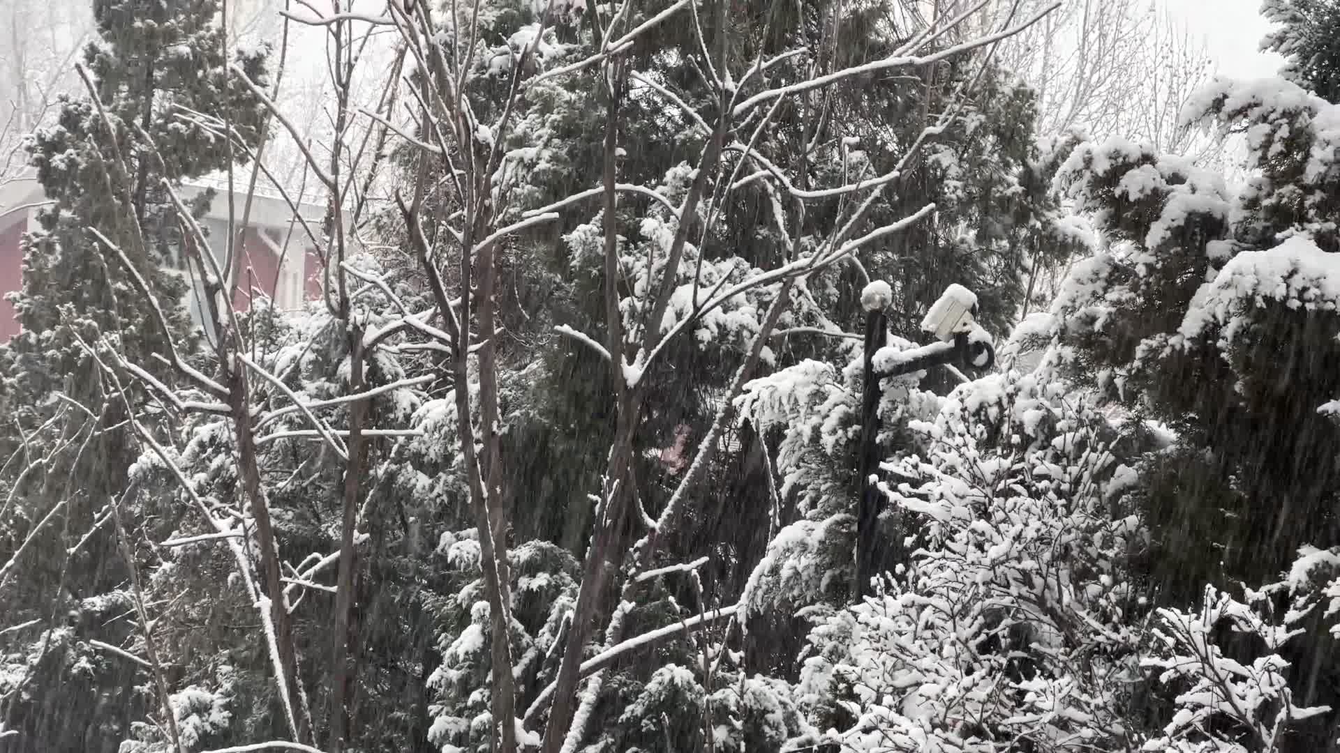 下雪住宅楼雪景视频的预览图