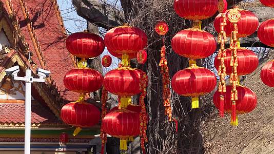 春节民族园挂红灯笼视频的预览图