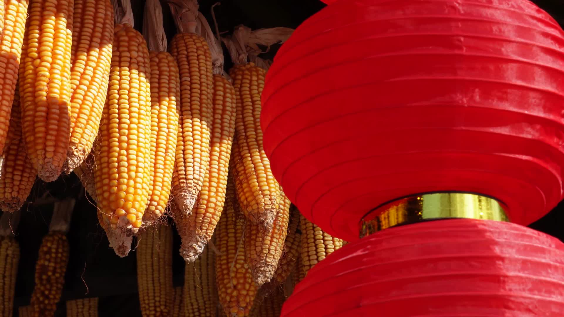 大红灯笼年节喜庆氛围过年气氛五谷丰登视频的预览图