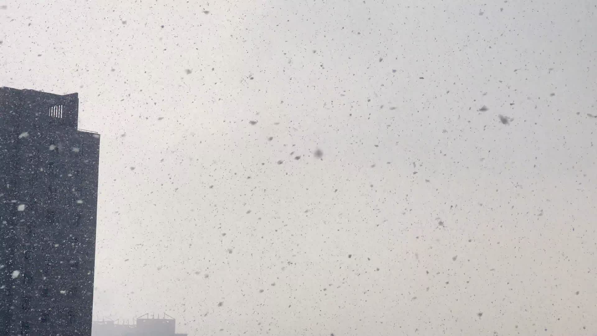冬季里的城市灰色下雪雪中楼宇建筑烟筒视频的预览图