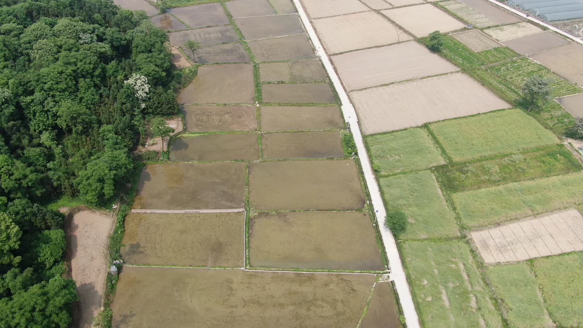 航拍南方春耕农业种植水田视频的预览图