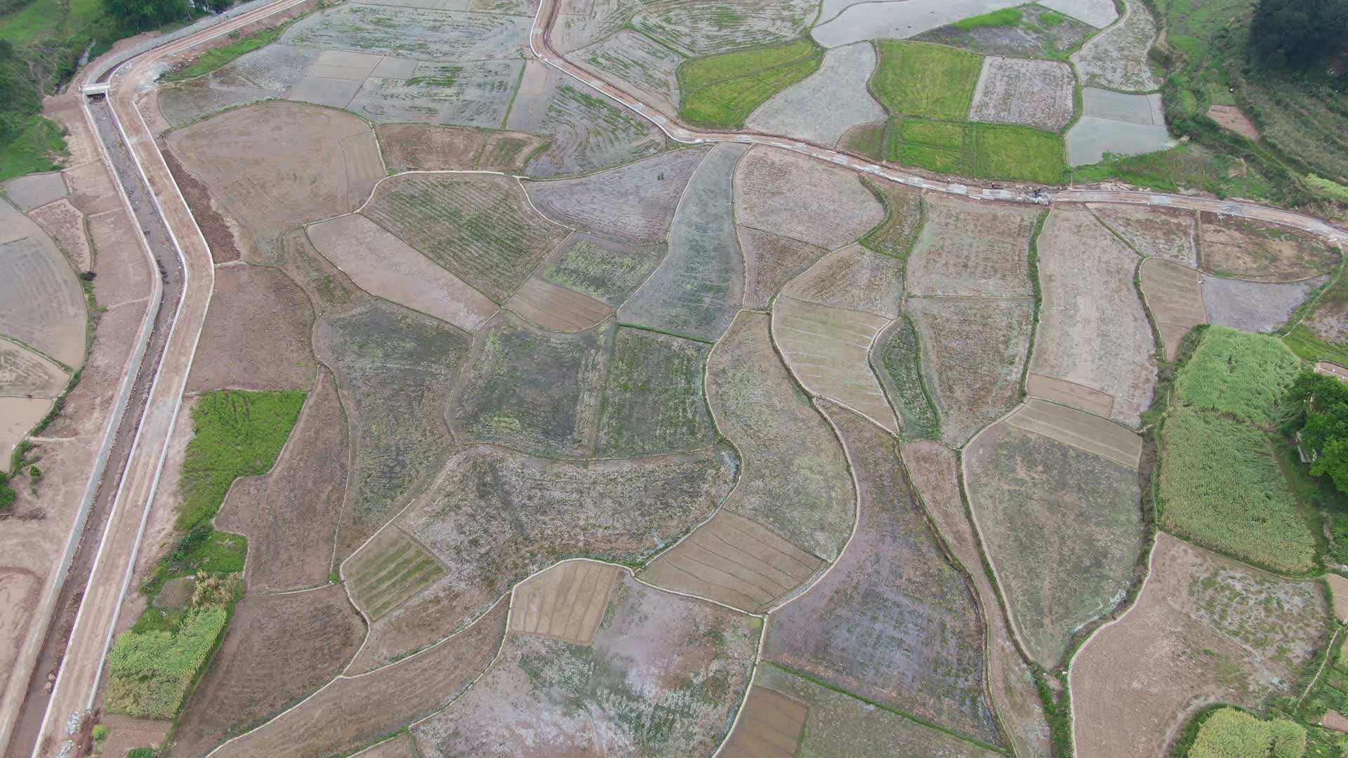航拍南方春耕农业种植水田视频的预览图