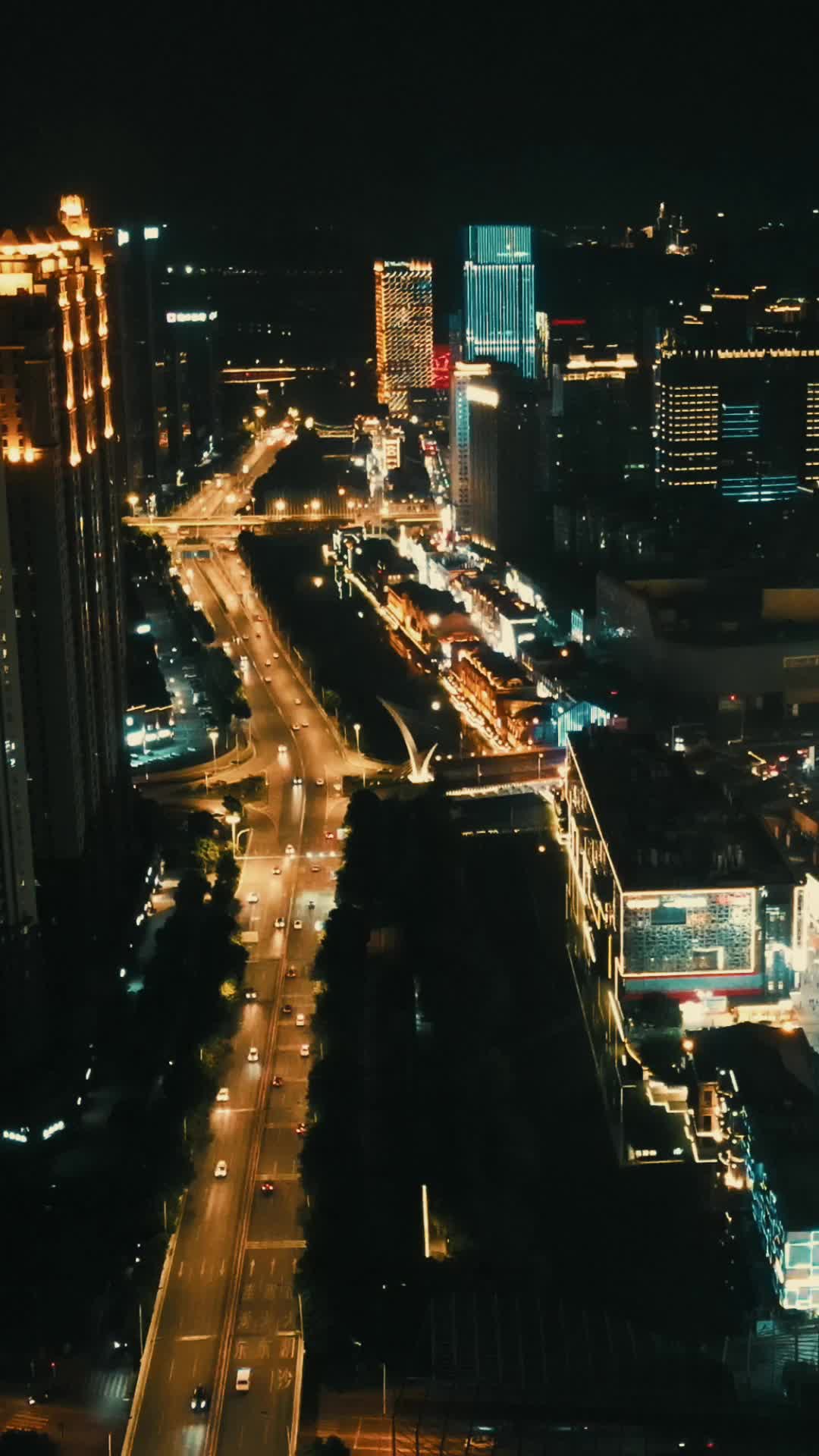 武汉楚河汉街夜景竖屏航拍视频的预览图