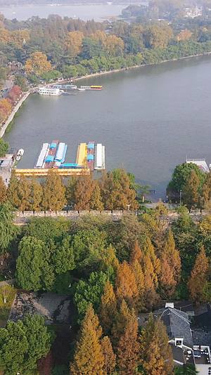 江苏南京玄武湖秋季竖屏航拍视频的预览图