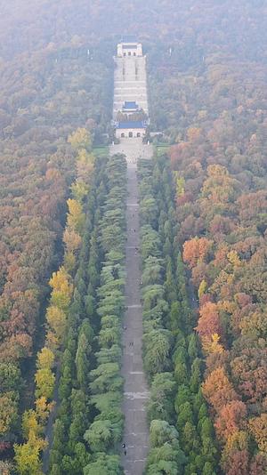 江苏南京中山陵5A景区竖屏航拍视频的预览图
