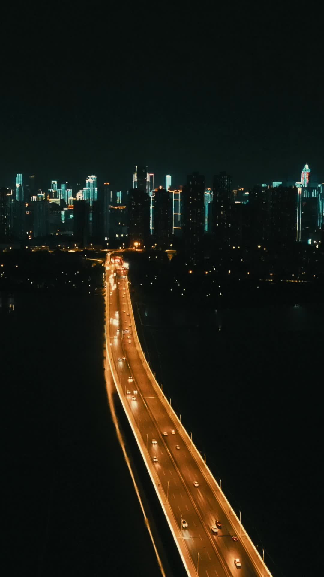 湖北武汉沙湖大桥夜景竖屏视频的预览图