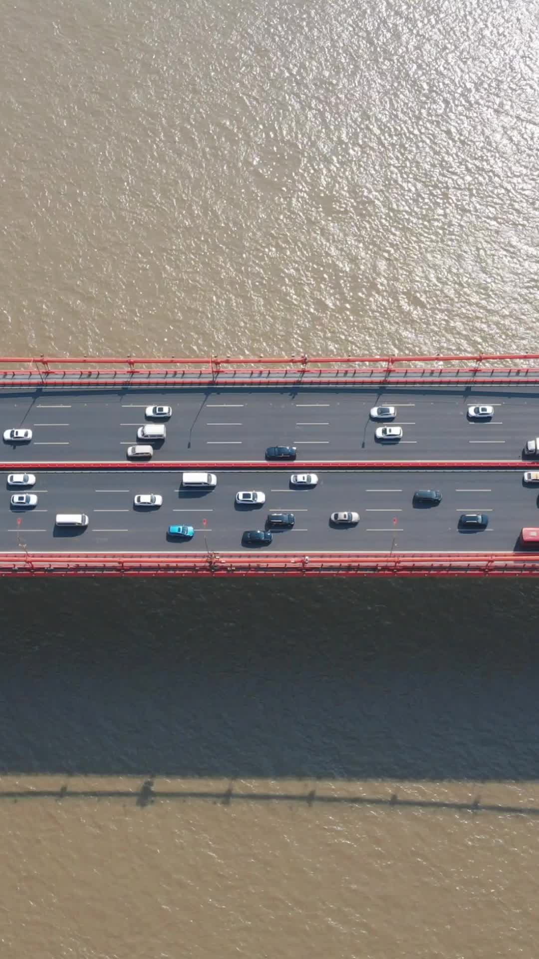 武汉鹦鹉洲长江大桥竖屏航拍视频的预览图