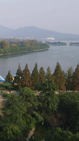江苏南京秋天景色竖屏航拍视频的预览图